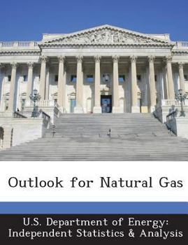 Paperback Outlook for Natural Gas Book