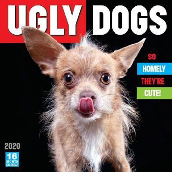 Calendar 2020 Ugly Dogs: So Homely They're Cute 16-Month Wall Calendar: By Sellers Publishing Book