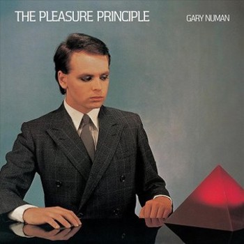 Vinyl Pleasure Principle Book