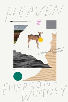 Hardcover Heaven Book