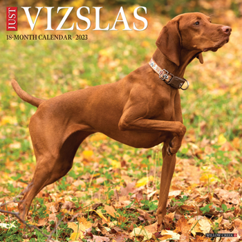 Calendar Just Vizslas 2023 Wall Calendar Book