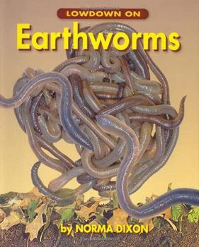 Paperback Lowdown on Earthworms Book
