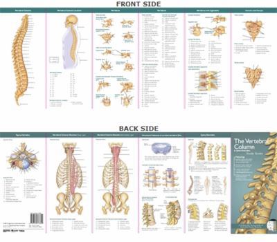 Wall Chart Anatomical Chart Company's Illustrated Pocket Anatomy: The Vertebral Column & Spine Disorders Study Guide Book