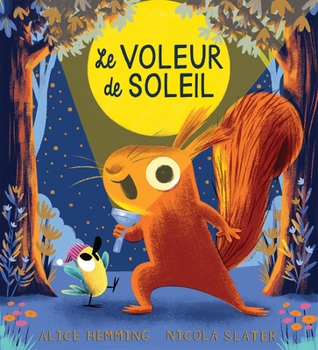 Le voleur de soleil (French Edition)