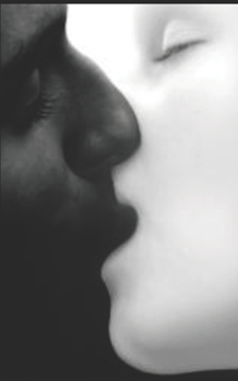 Paperback Studente Refleksies [Afrikaans] Book