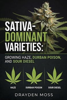 Sativa-Dominant Varieties: Growing Haze, Durban Poison, and Sour Diesel