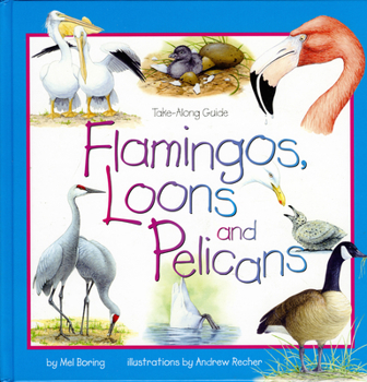Hardcover Flamingos, Loons & Pelicans Book