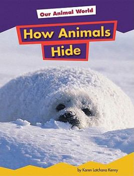 Library Binding How Animals Hide Book