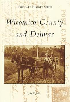 Paperback Wicomico County and Delmar Book