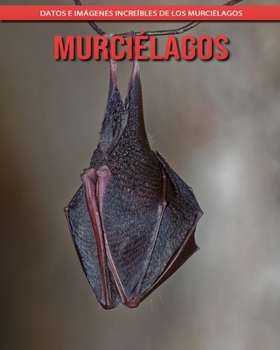 Murciélagos: Datos e imágenes increíbles de los Murciélagos