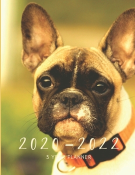Paperback 2020-2022 3 Year Planner French Bulldog Monthly Calendar Goals Agenda Schedule Organizer: 36 Months Calendar; Appointment Diary Journal With Address B Book