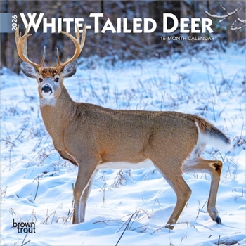 Mini-Disc White Tailed Deer 2026 7 X 14 Inch (Hanging) Monthly Mini Wall Calendar Book