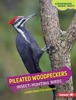 Pileated Woodpeckers: Insect-Hunting Birds - Book  of the Comparing Animal Traits