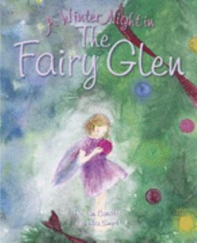 Paperback A Winter Night in the Fairy Glen Book