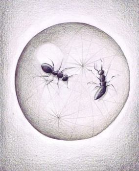 Paperback Gods of a Ransacked Century Book