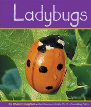 Paperback Ladybugs Book