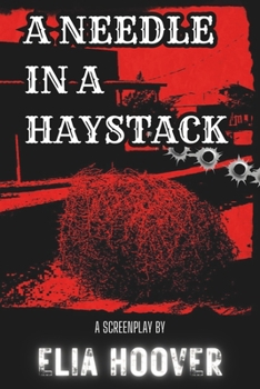 Paperback A Needle In A Haystack Book
