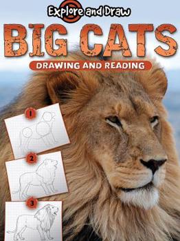 Library Binding Big Cats, Drawing and Reading Book