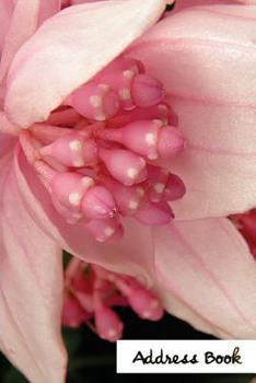 Address Book.: (Flower Edition Vol. C43) Glossy And Soft Cover, Large Print, Font, 6" x 9" For Contacts, Addresses, Phone Numbers, Em