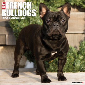 Calendar French Bulldogs 2026 Wall Calendar Book