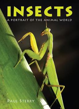 Insects - Book  of the Exploring Nature