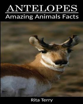Paperback Antelopes: Amazing Photos & Fun Facts Book About Antelopes Book