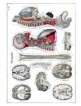 Paperback Neurography Composition Notebook: Art History Medical and Science Lab Lecture Note-Taking Book