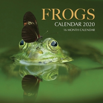 Frogs Calendar 2020: 16 Month Calendar