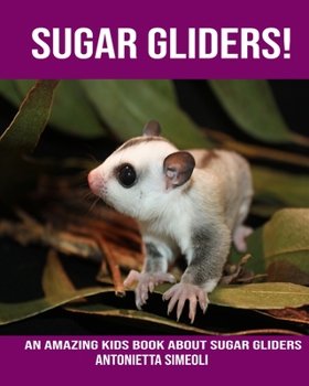 Sugar gliders! An Amazing kids Book About Sugar gliders