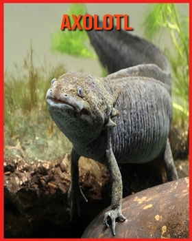 Paperback Axolotl: Fun Facts & Cool Pictures Book