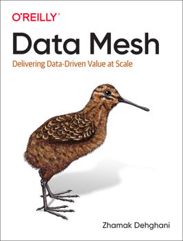 Paperback Data Mesh: Delivering Data-Driven Value at Scale Book