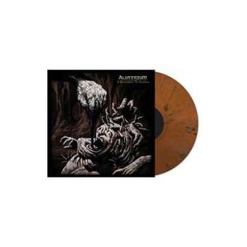 Vinyl A Monument To Silence Book
