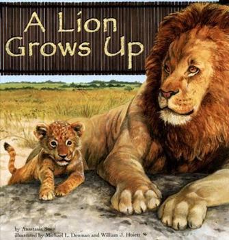 A Lion Grows Up - Book  of the Wild Animals