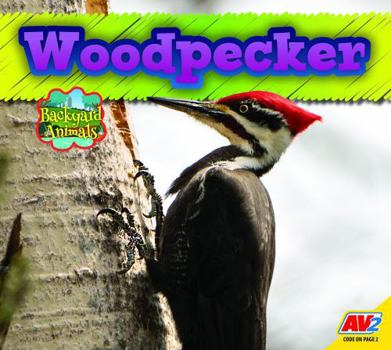 Woodpecker