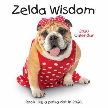 Calendar Zelda Wisdom 2020 Wall Calendar Book