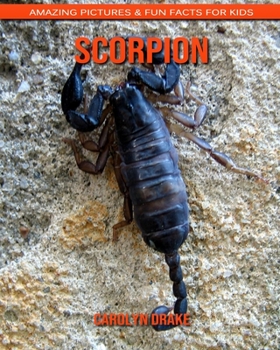 Scorpion: Amazing Pictures & Fun Facts for Kids