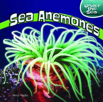 Paperback Sea Anemones Book