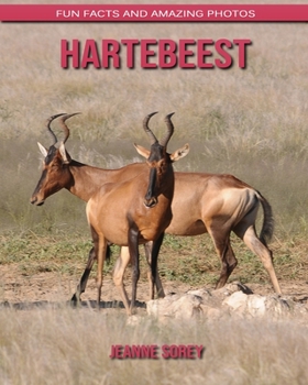 Hartebeest: Fun Facts and Amazing Photos