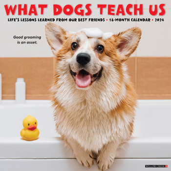Calendar What Dogs Teach Us 2024 12 X 12 Wall Calendar Book