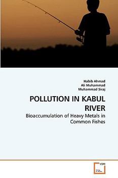Paperback Pollution in Kabul River Book