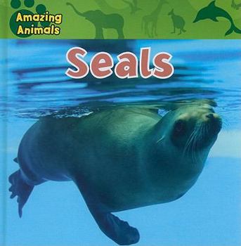 Seals - Book  of the Amazing Animals