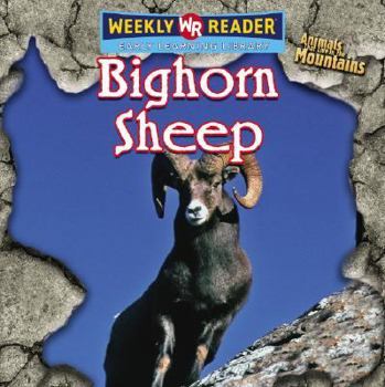 Bighorn Sheep - Book  of the Animals That Live in the Mountains