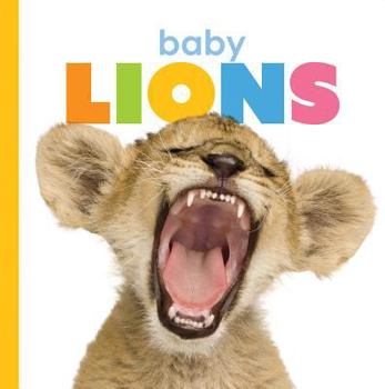 Baby Lions - Book  of the Starting Out