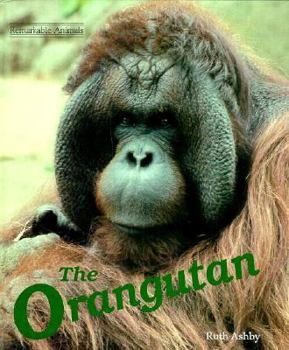 Library Binding The Orangutan Book
