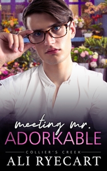 Paperback Meeting Mr. Adorkable: MM Small Town Romance (Collier's Creek) Book