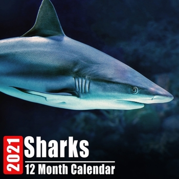 Paperback Calendrier 2021 Sharks: Mini Photos Calendrier Les Requins Et Organisateur Mensuel Avec Citations Inspirantes Chaque Mois [French] Book