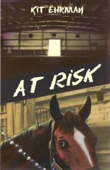 Hardcover At Risk: A Steve Cline Mystery Book