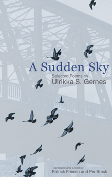 Paperback A Sudden Sky: Selected Poems Book