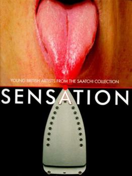 Paperback Sensation: Young British Artists from the Saatchi Collection Book