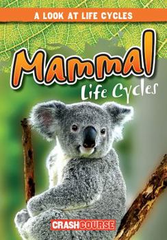 Mammal Life Cycles - Book  of the Look at Life Cycles